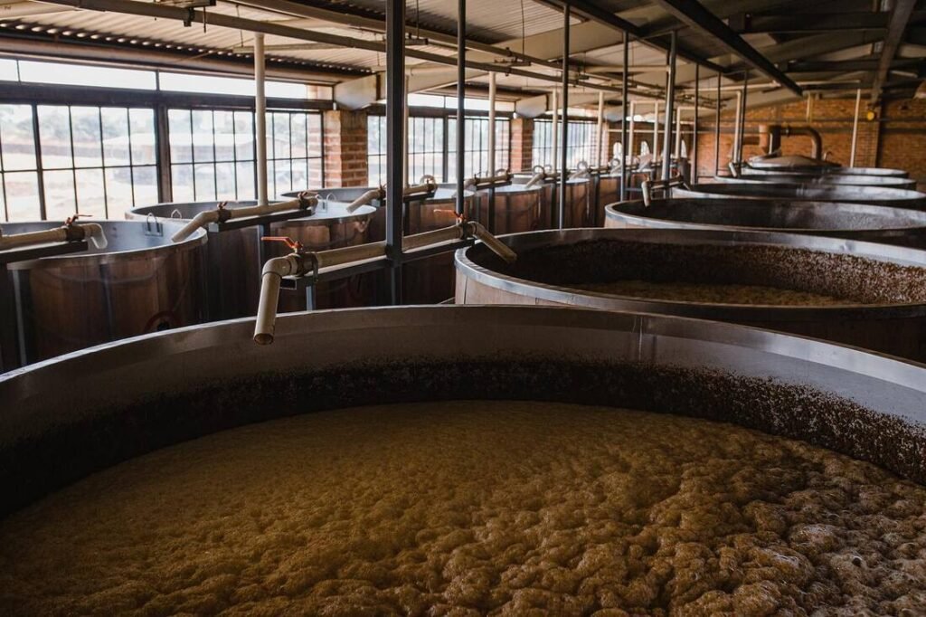 The image shows large metal fermentation tanks in a brewery. The tanks contain a foamy, bubbling liquid, with pipes and valves connecting them. The industrial facility has large windows letting in natural light.
